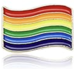 Pin's Pride Flag