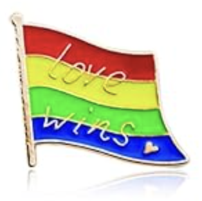 Pin's Drapeau Love Wins